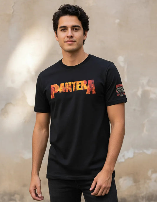 Playera Pantera Música Rock Heavy Metal